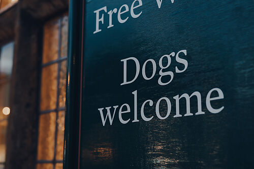 Dog friendly restaurants in Edinburgh